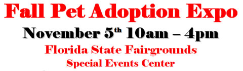Tampa Fall Adoption Expo 2011