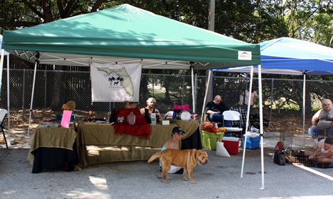 The HOP - Help Our Pets 2011 - Tampa, FL
