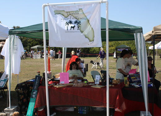1st Annual Celebration Of Pets 2011 - Sarasota FL
