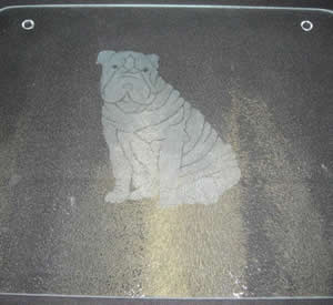 Etched Glass Item