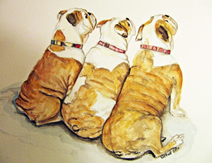 Pam's Watercolor Pet Portraits