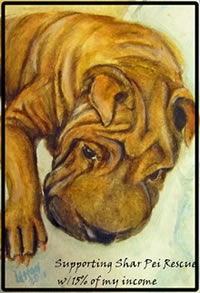 Pam's Watercolor Pet Portraits