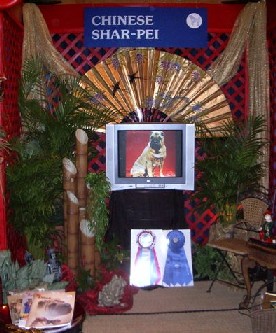 Best In Show