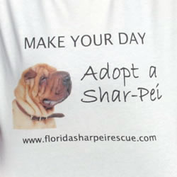 Make Your Day - Adopt A Shar-Pei
