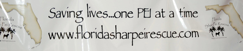 FSPR Banner