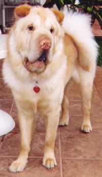 Max