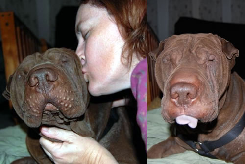 Rumpo