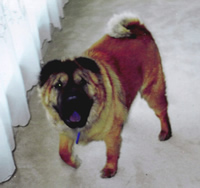 Tuffy