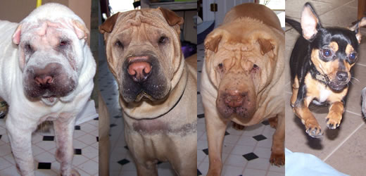 Bumbles & Walker