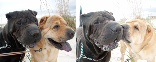Cairo and Johnny