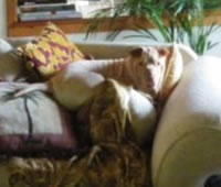 Charlie