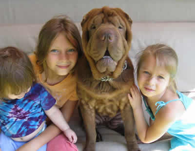 Chewy and the girls