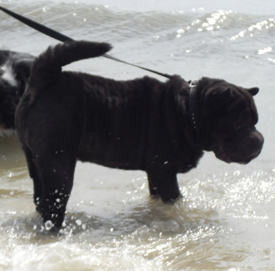Lucas at the Beach