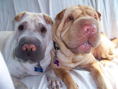 Zoe and Polar